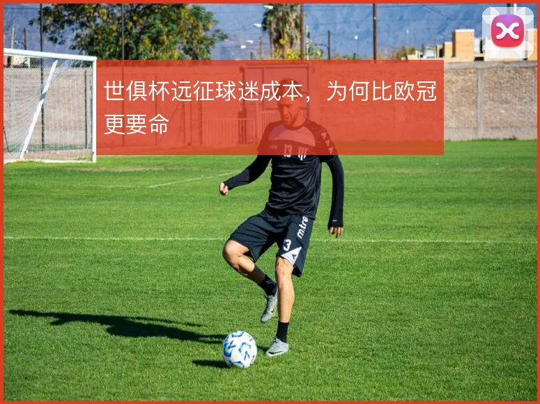 世俱杯远征球迷成本，为何比欧冠更要命